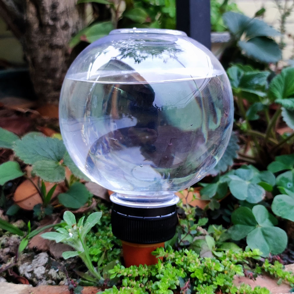 4 Pcs Automatic Watering Plant - Gardening Tools Green review and price