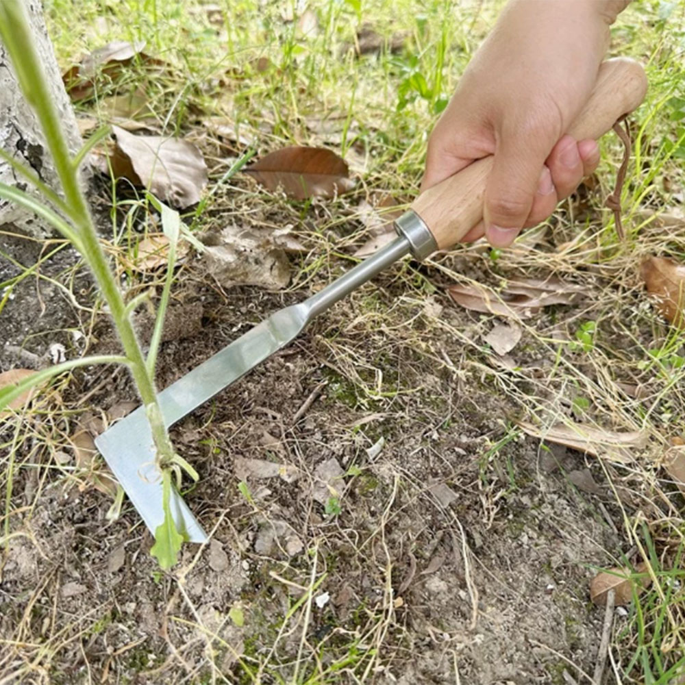 Stainless Steel Gap Weeding To - Gardening Tools Used review and price