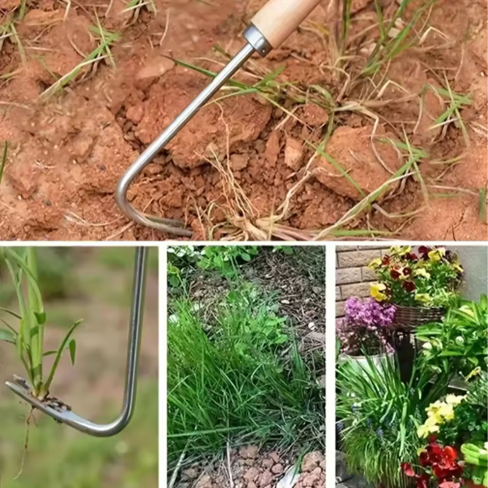 Stainless Steel Gap Weeding To - Gardening Tools Used review and price