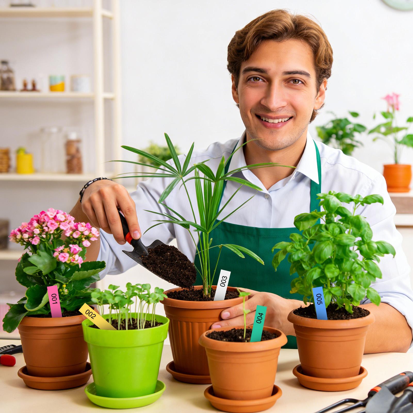 500Pcs Plant Labels Garden Sig - Plant Label Tags review and price