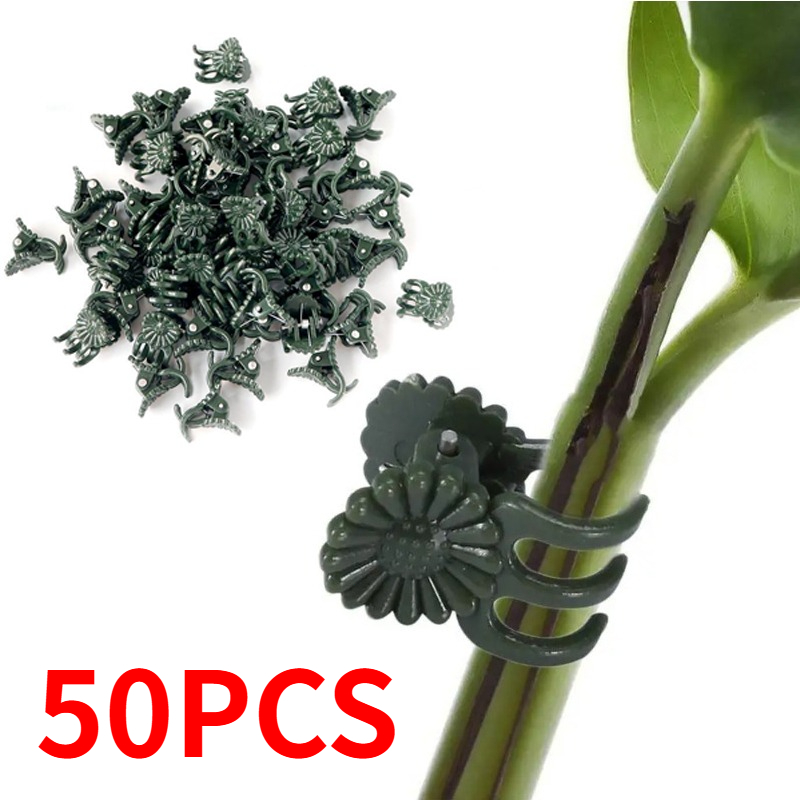 50PCS 5-Claw Dark Green Plant  - Gardening Tools Green review and price