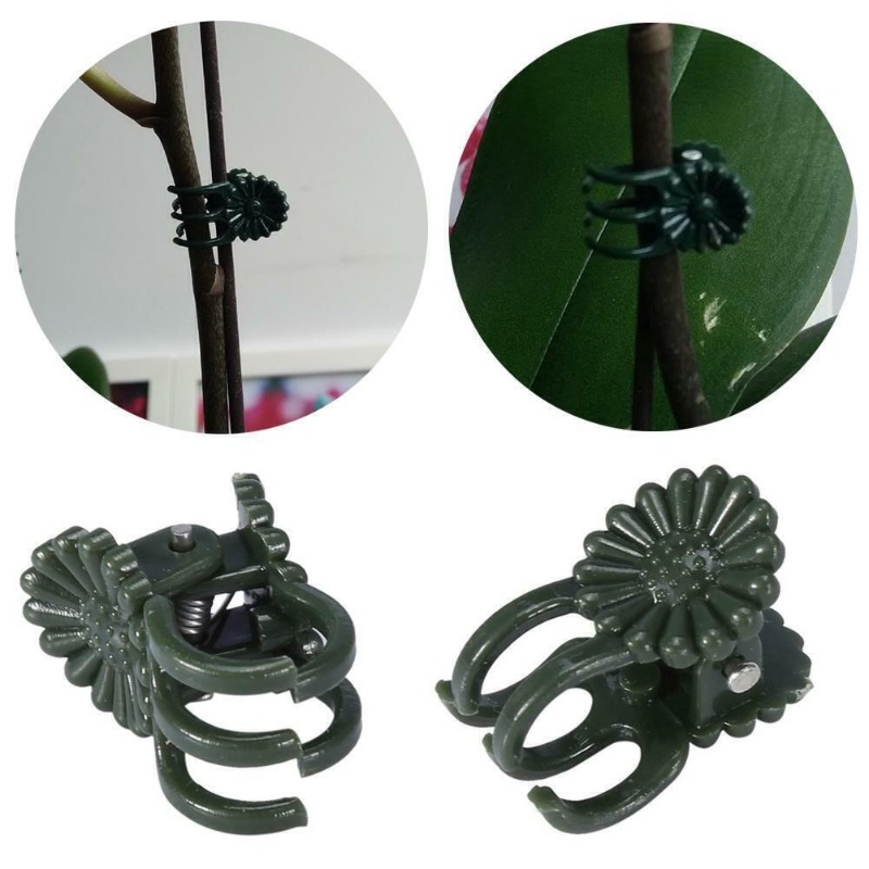 50PCS 5-Claw Dark Green Plant  - Gardening Tools Green review and price