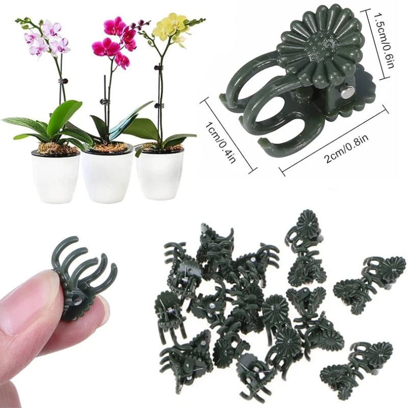 50PCS 5-Claw Dark Green Plant  - Gardening Tools Green review and price