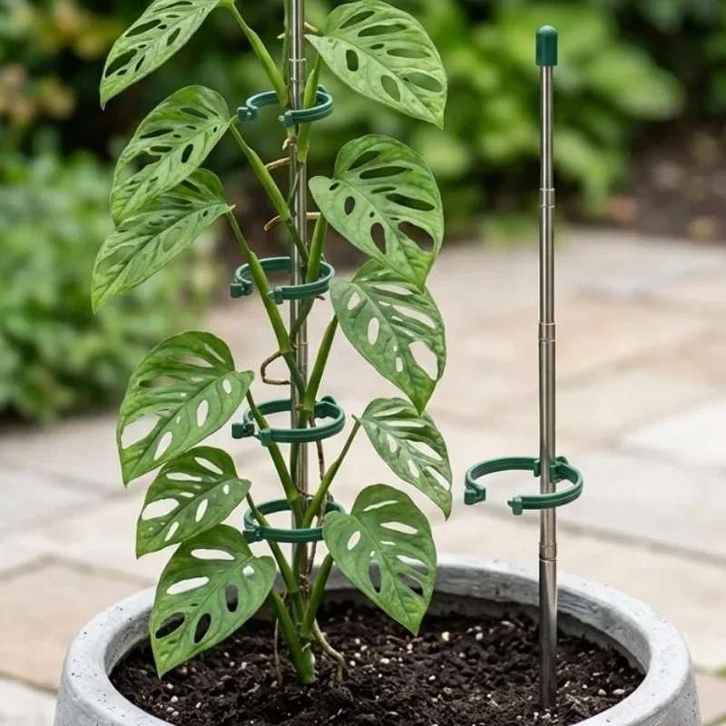 5/1PCS Retractable Plant Suppo - Gardening Tools Green review and price