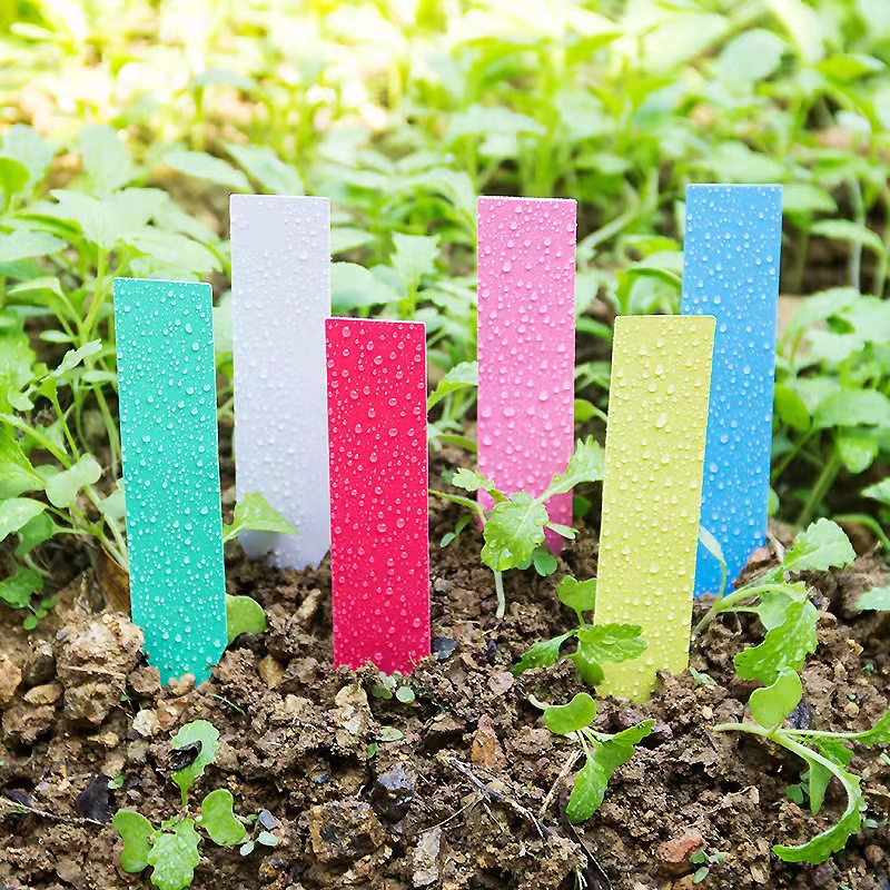 100Pcs Garden Plant Labels Pla - Plant Label Tags review and price
