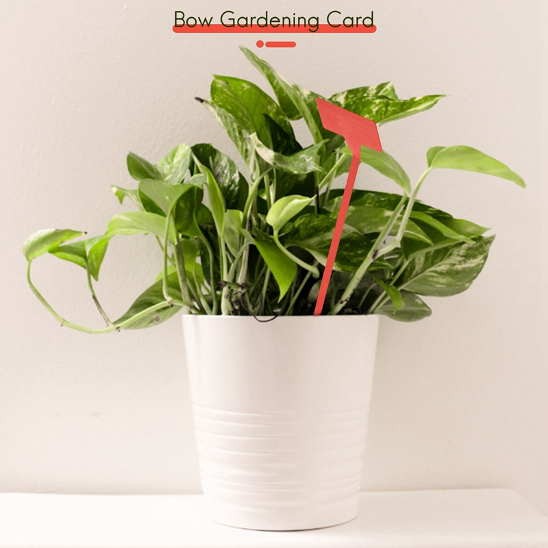 ABYP Gardens Planting Tools 50 - Plant Label Tags review and price