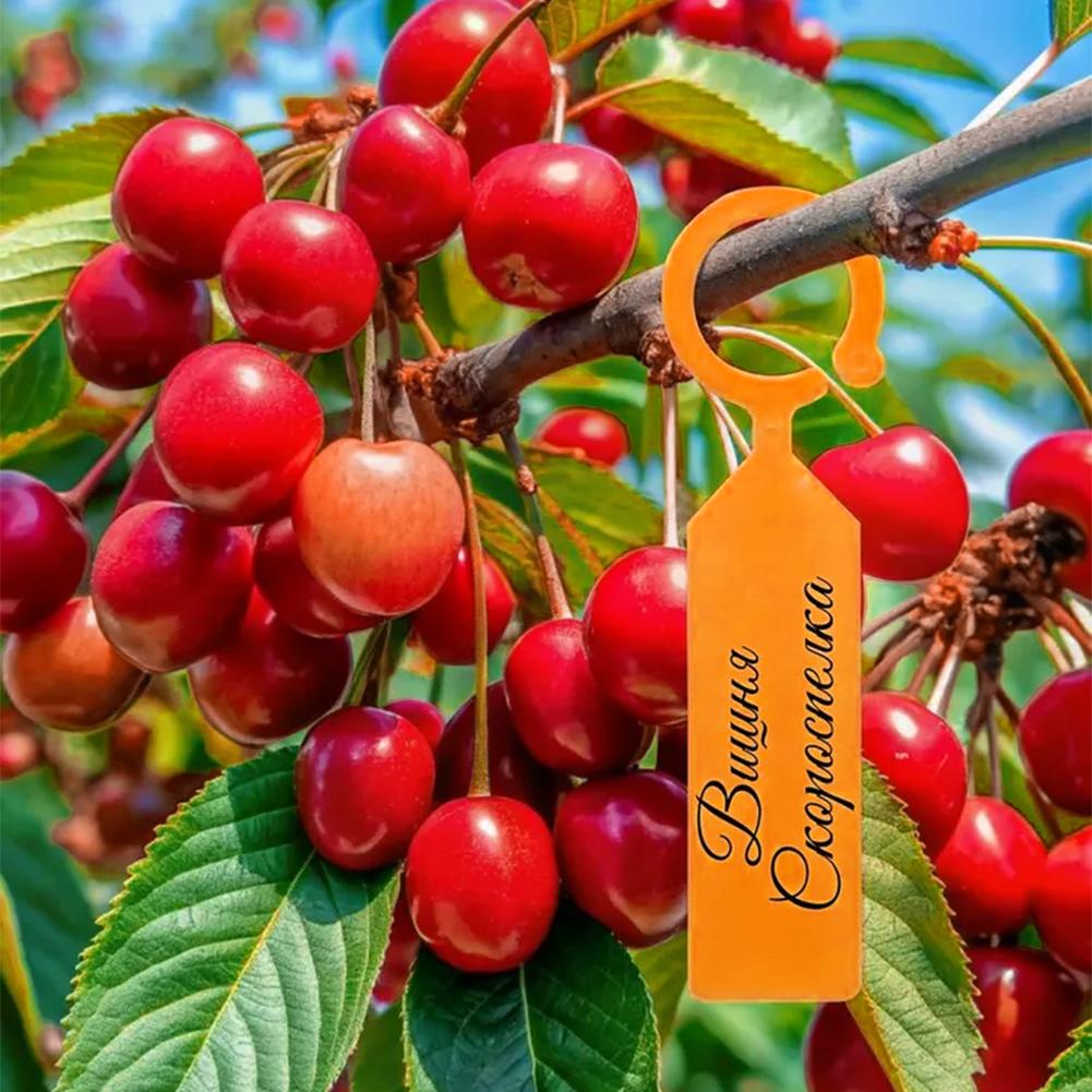 Garden Planting Tag Ring Hook  - Plant Label Tags review and price
