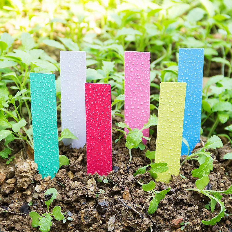 100pcs Thick 4inch Plant Label - Plant Label Tags review and price