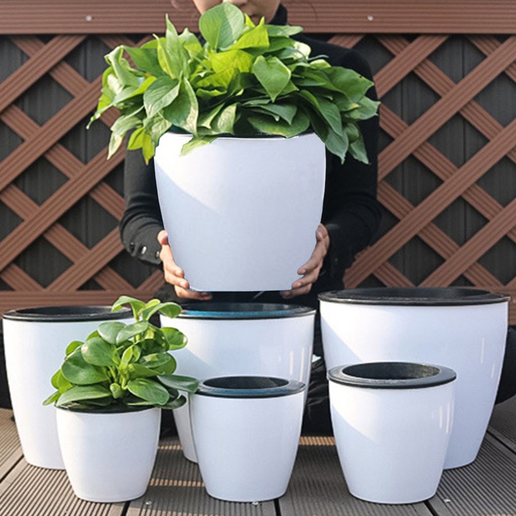 Automatic Watering Flower Plan - Gardening Tools Green review and price