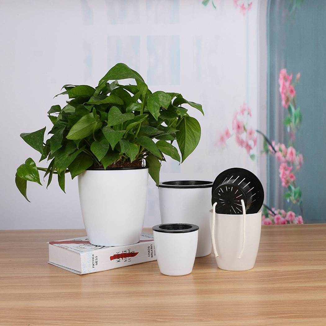 Automatic Watering Flower Plan - Gardening Tools Green review and price