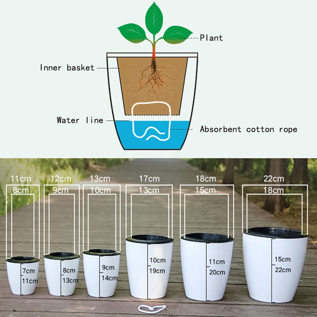 Automatic Watering Flower Plan - Gardening Tools Green review and price