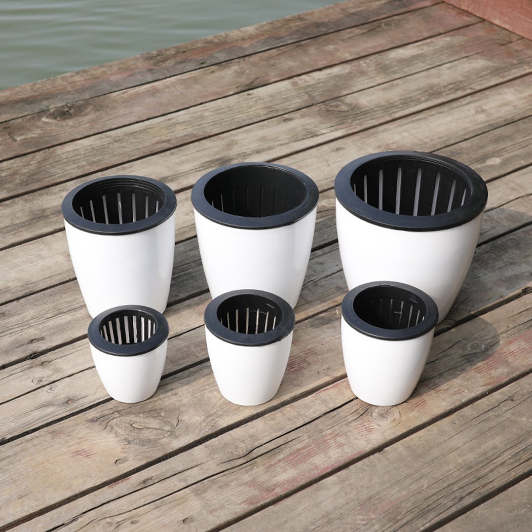 Automatic Watering Flower Plan - Gardening Tools Green review and price