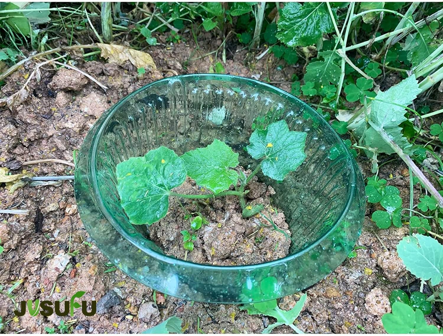1/30pcs Plants Slug Protection - Gardening Tools Green review and price