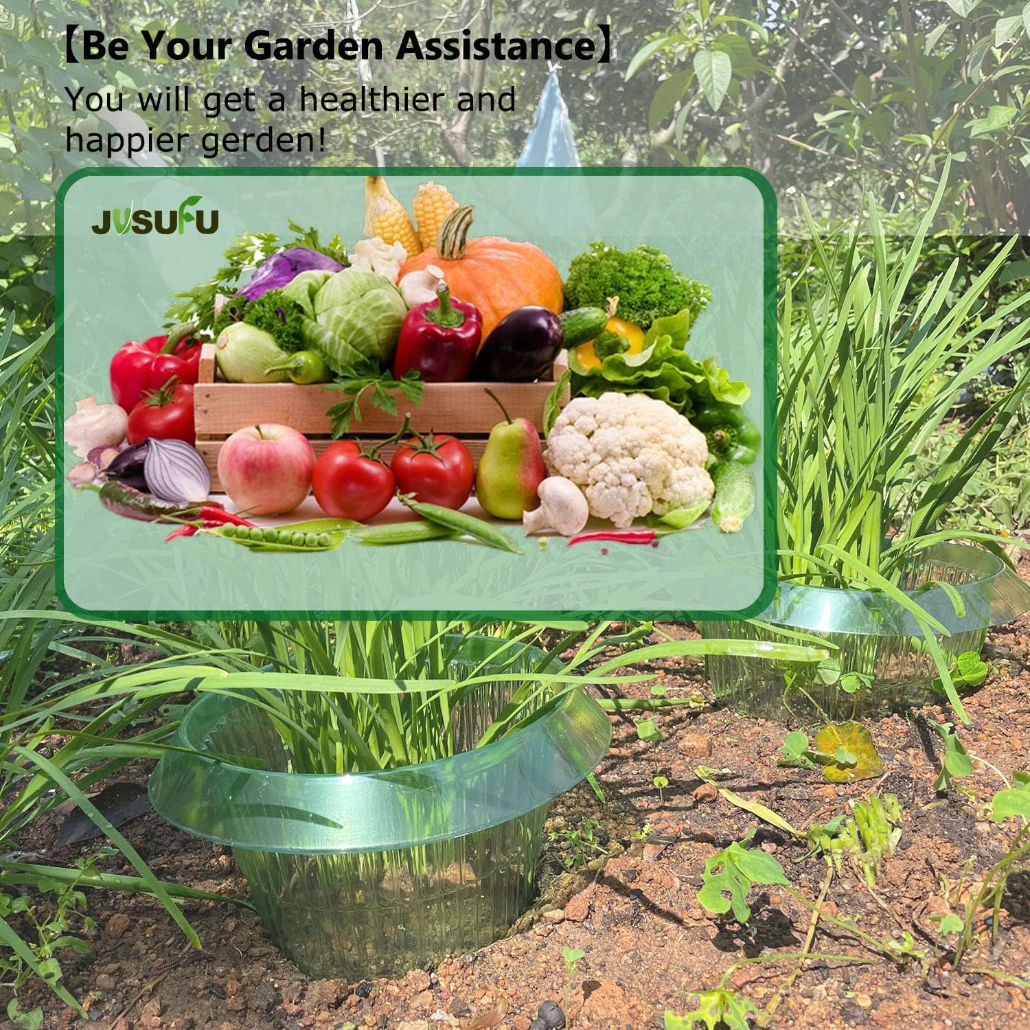 1/30pcs Plants Slug Protection - Gardening Tools Green review and price