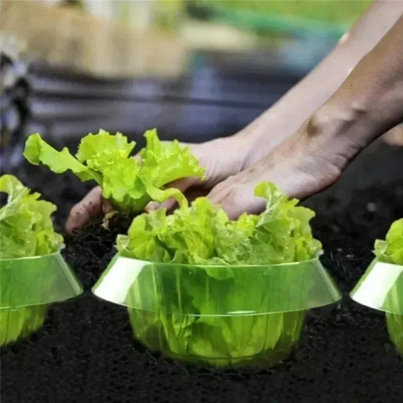 Plants Slug Protection Rings V - Gardening Tools Green review and price