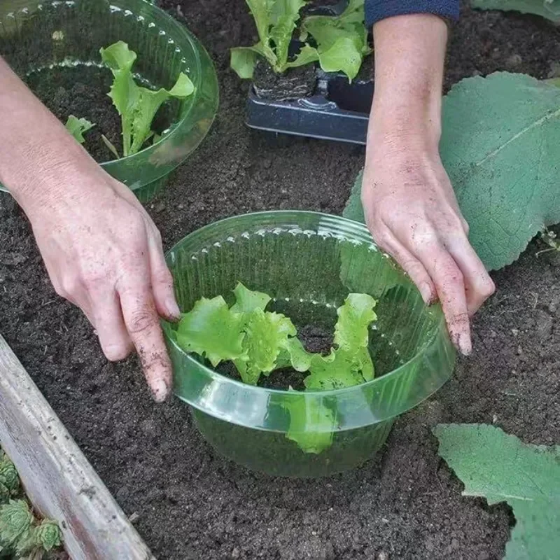 Plants Slug Protection Rings V - Gardening Tools Green review and price