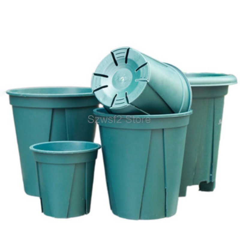 5/10pcs Green Plastic Plant Fl - Gardening Tools Green review and price